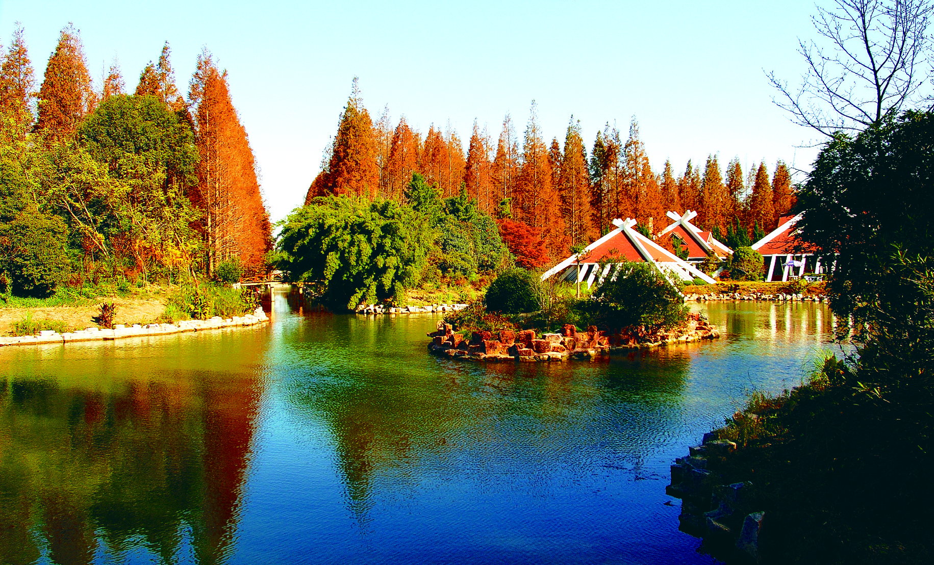 崇明县义务植树基地