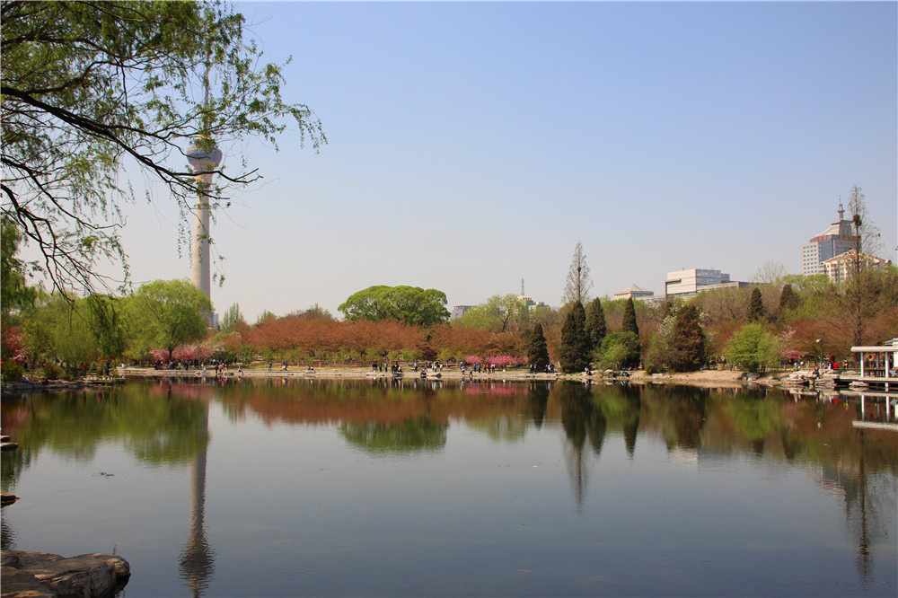 玉淵潭公園