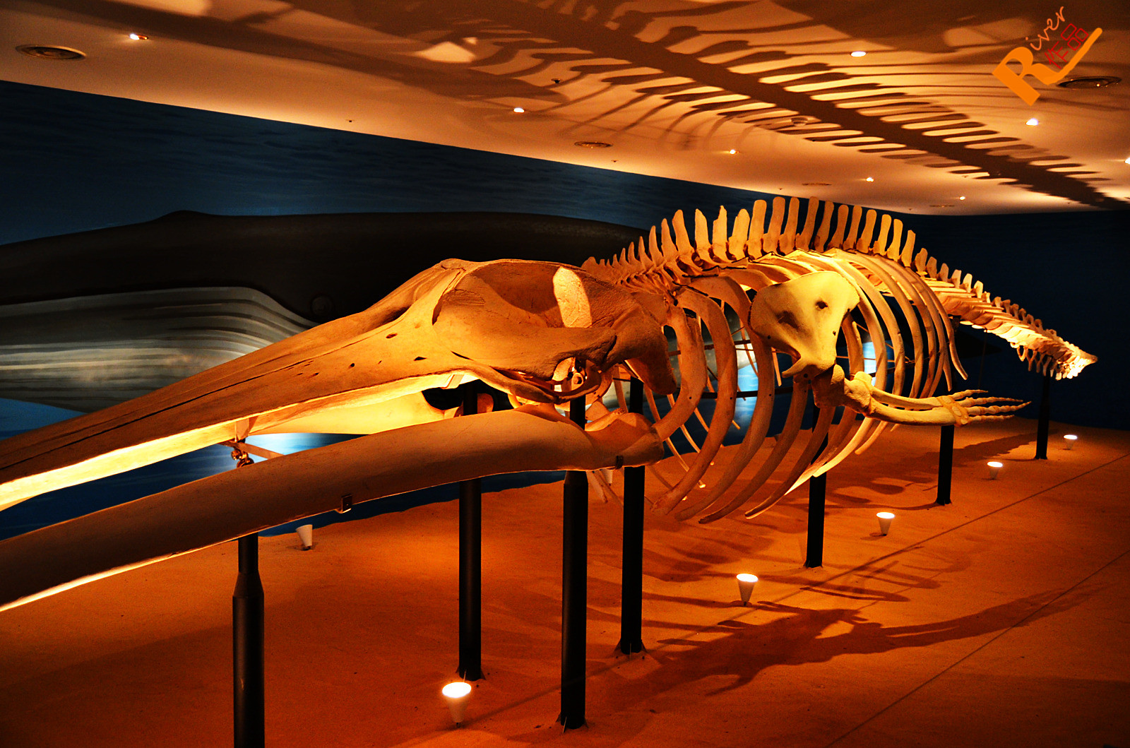 济州民俗自然史博物馆,济州岛济州民俗自然史博物馆攻略/地址/图片