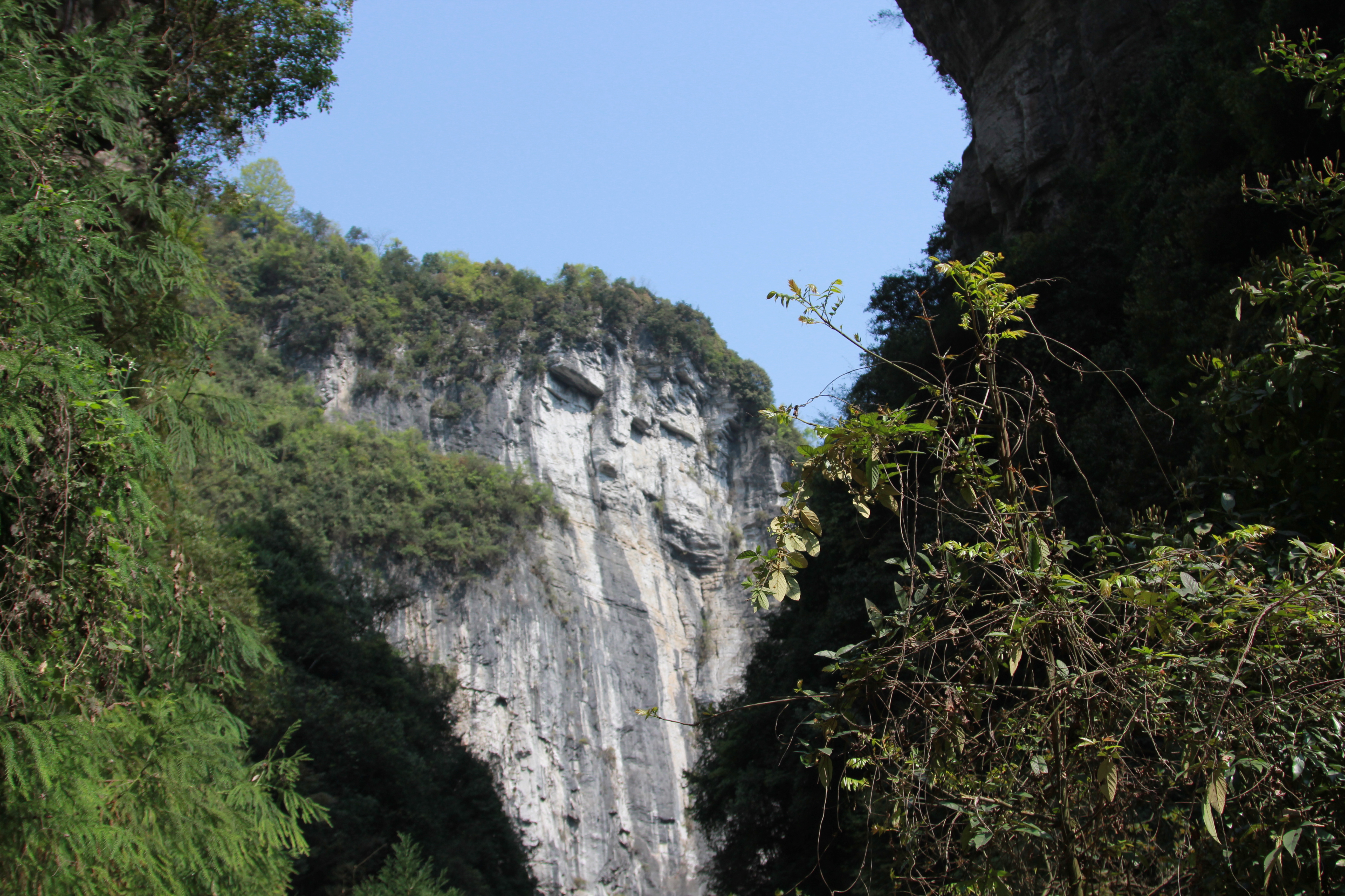 【攜程攻略】武隆區武隆天生三橋適合朋友出遊旅遊嗎,武隆天生三橋