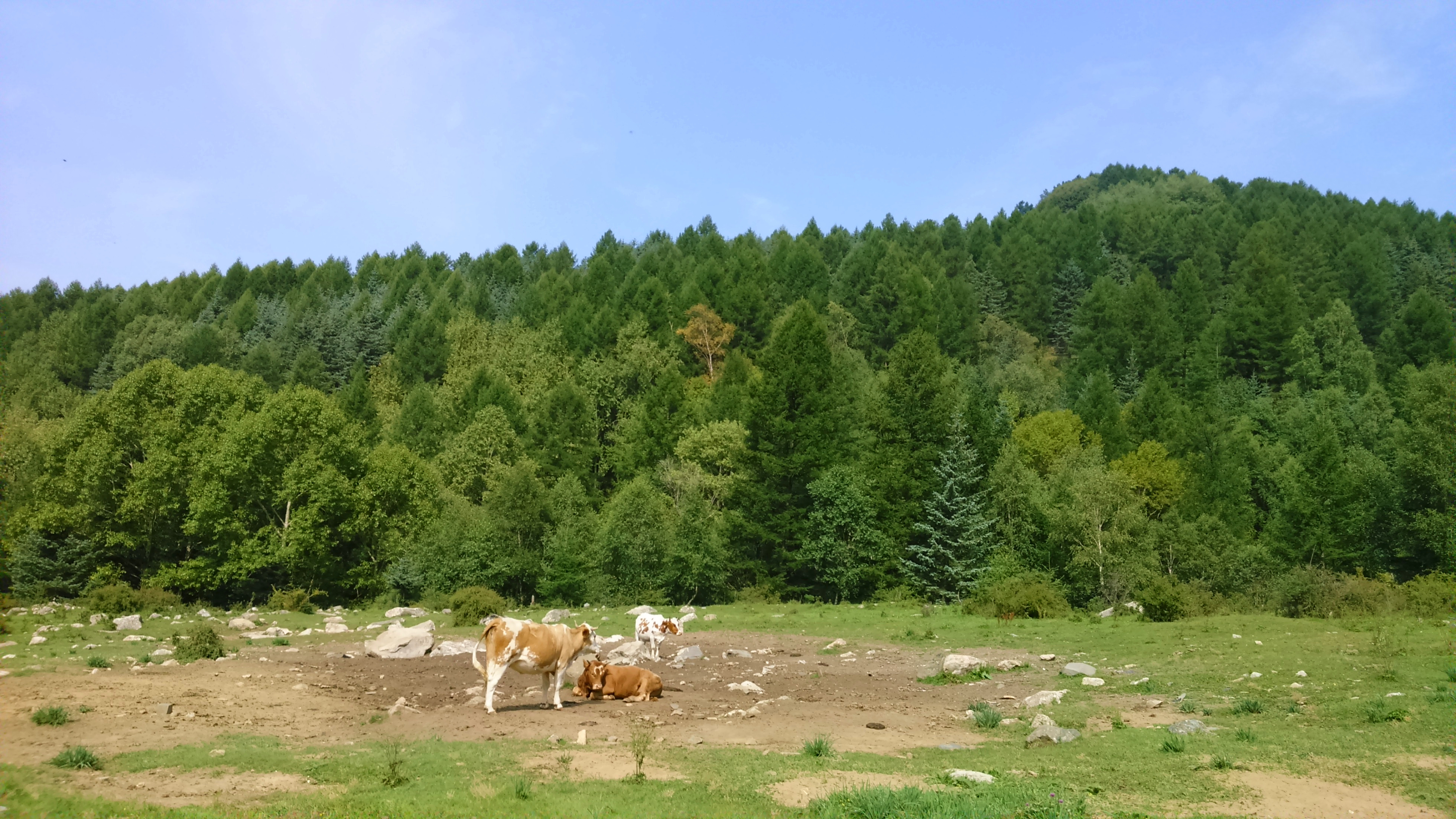 山西"小桂林,绝美庞泉沟 心随情境转,人在画中游.