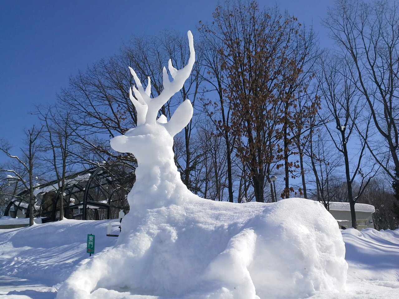 参观旭川动物园