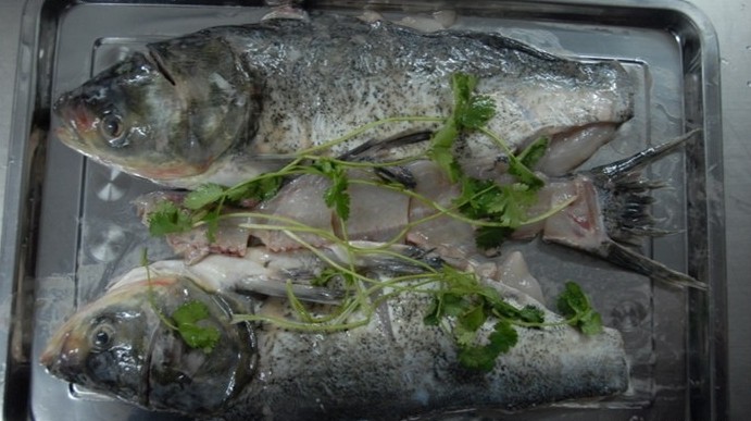 2022好吃鱼主题活鱼火锅(紫京饭店店)美食餐厅,蘸料蘸鱼吃蛮好吃的,有