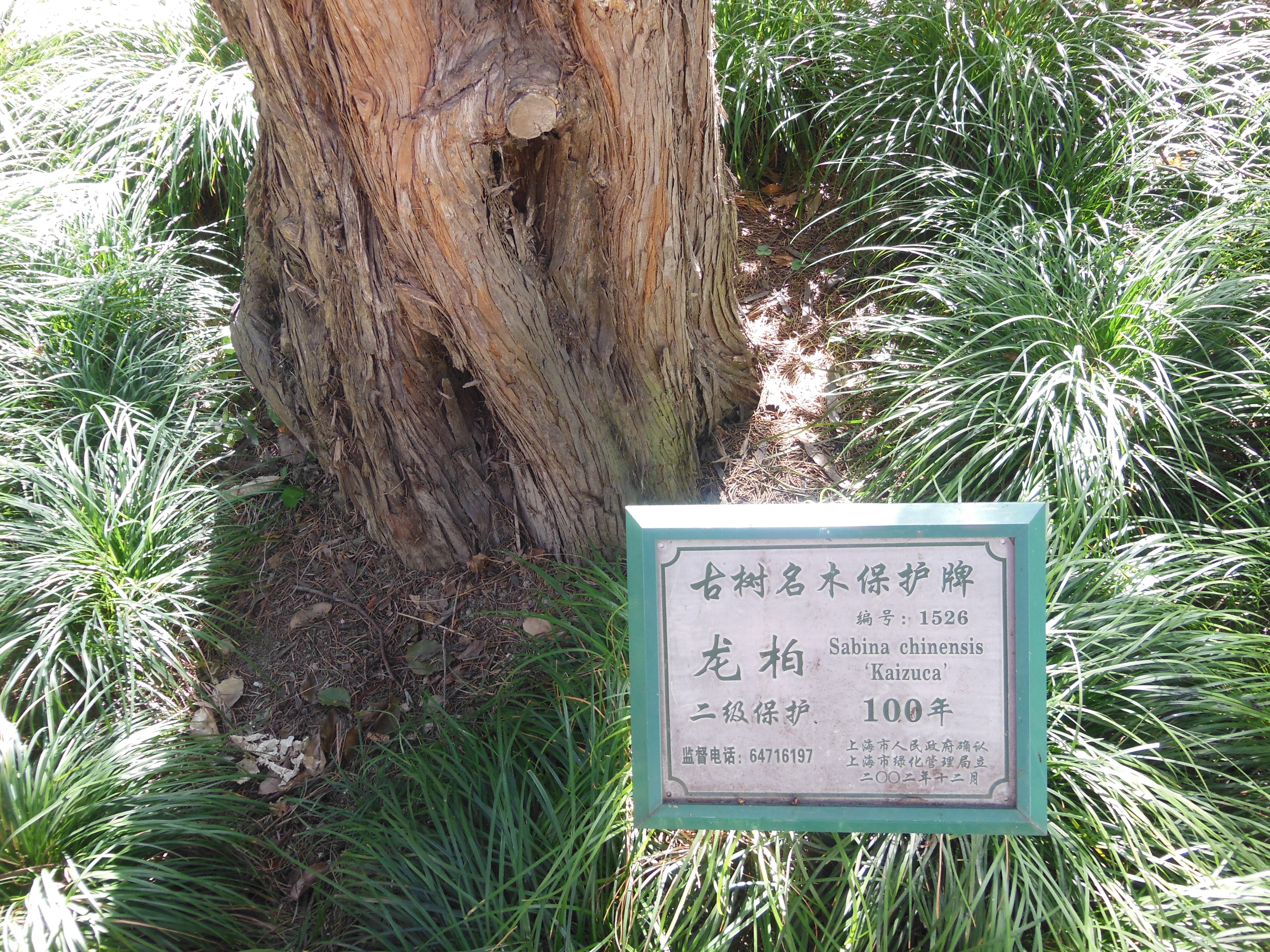                  古树名木保护牌