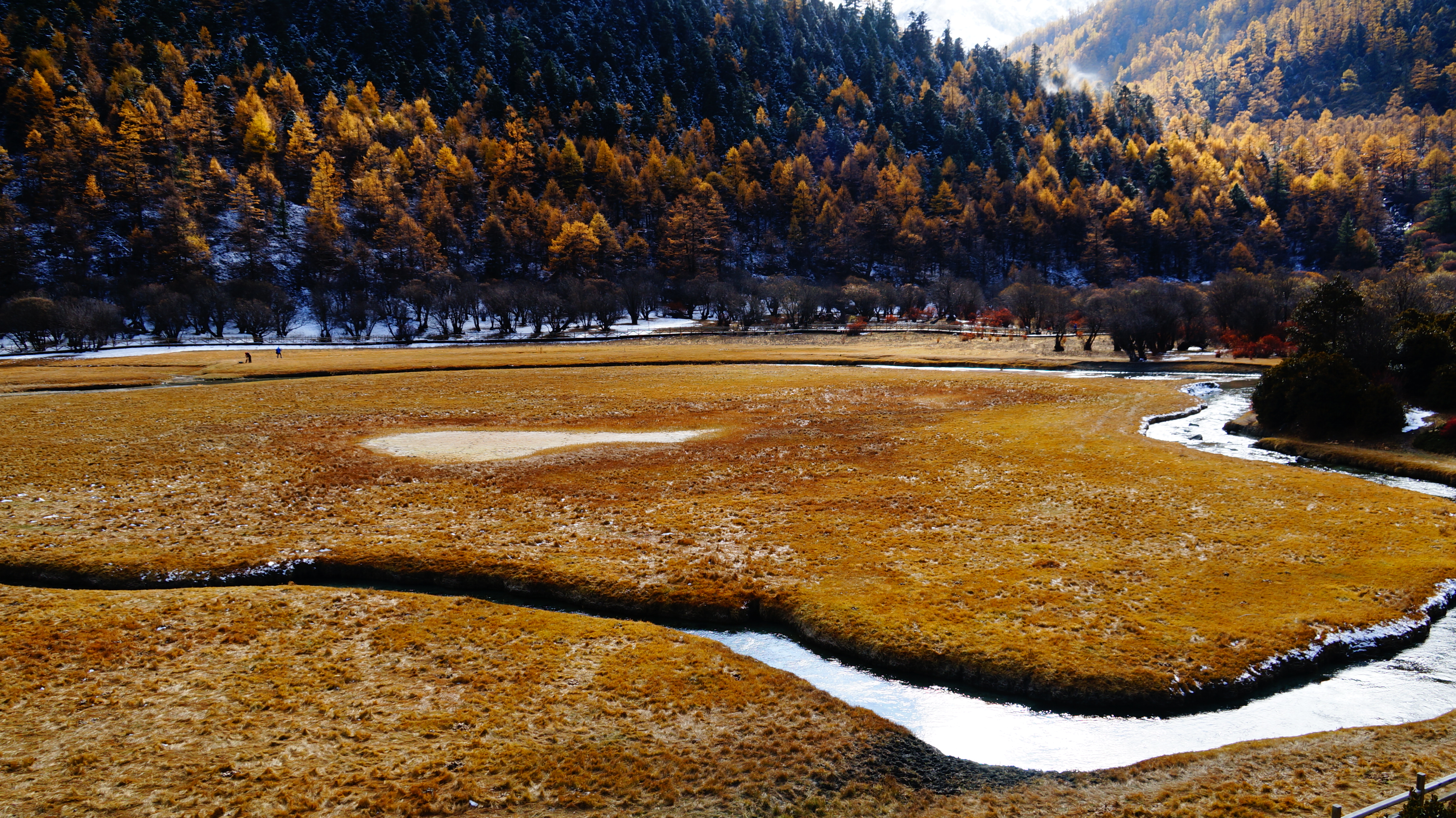 川西稻城地区竹鸡顶铜矿床花岗细晶岩的特征及其成矿意义(钟文丽