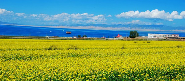 国内最美沙漠旅游景点 bd8aacbc3ee946cc8607f96aa0bab586_R_600_10000_Q90.jpg