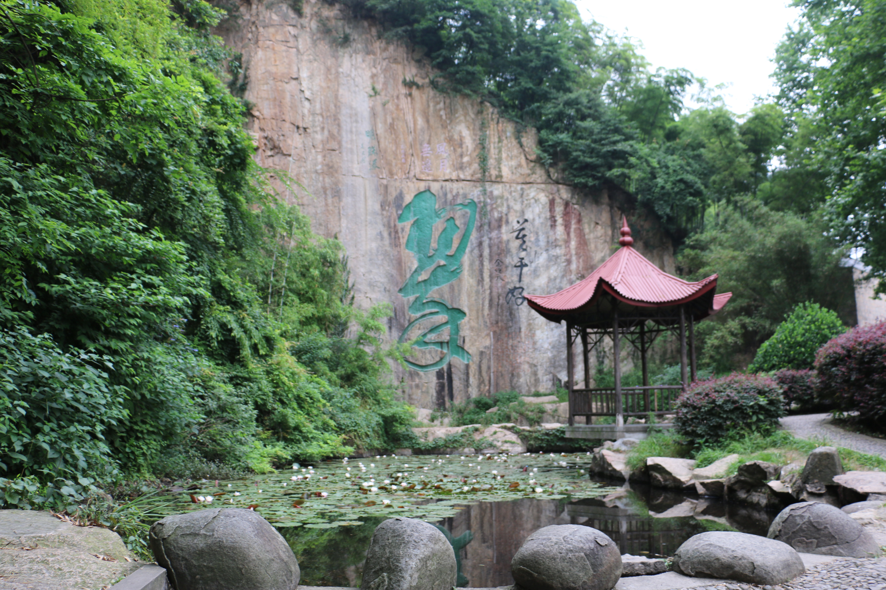 莫干山上躲清凉.