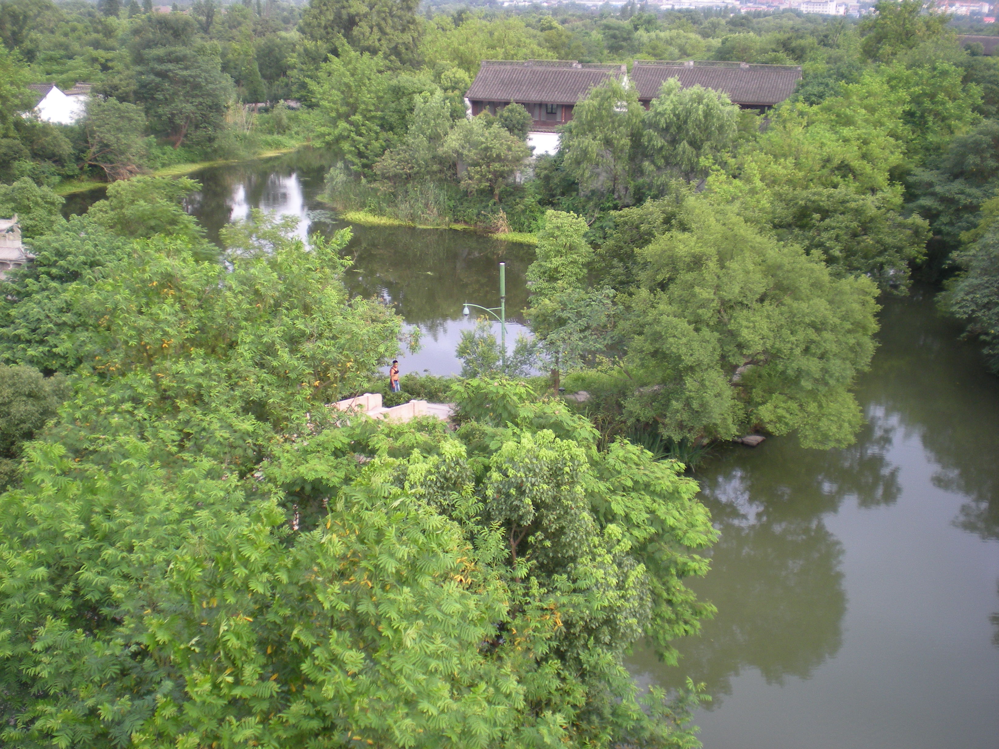 西溪湿地(二)