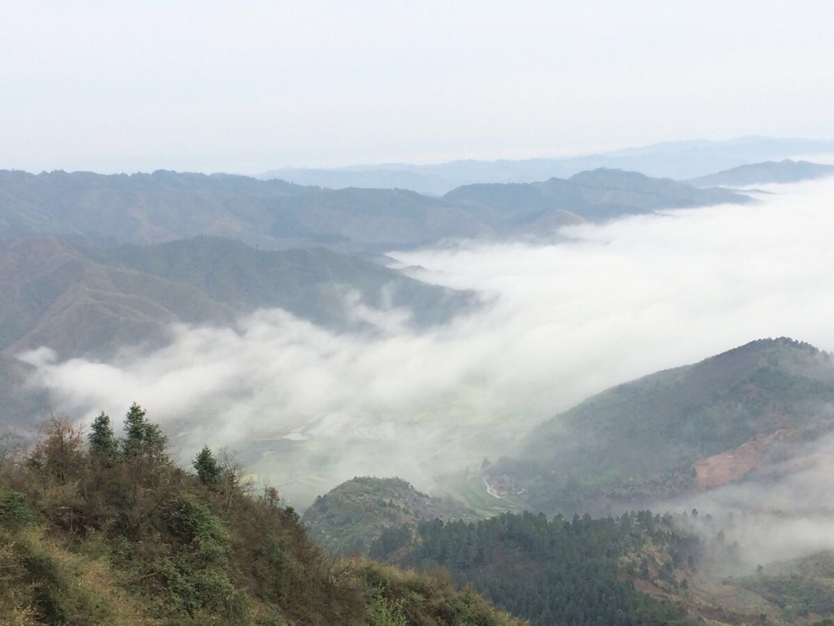 靖州飛山