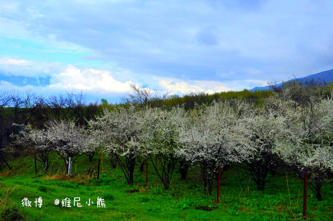 1b9a691fd76d46e98ed056f91fa188fe_R_671_10000_Q90.jpg?proc=autoorient
