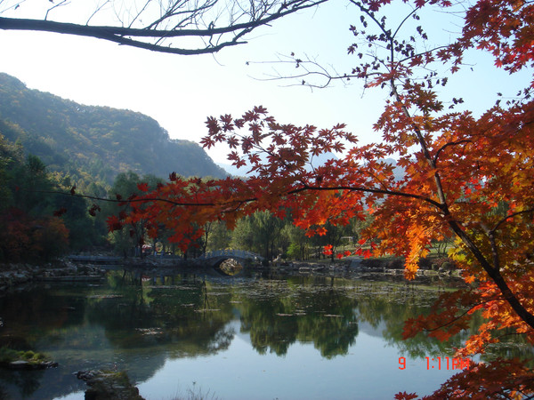 歇马未来人口_沈阳歇马夜市