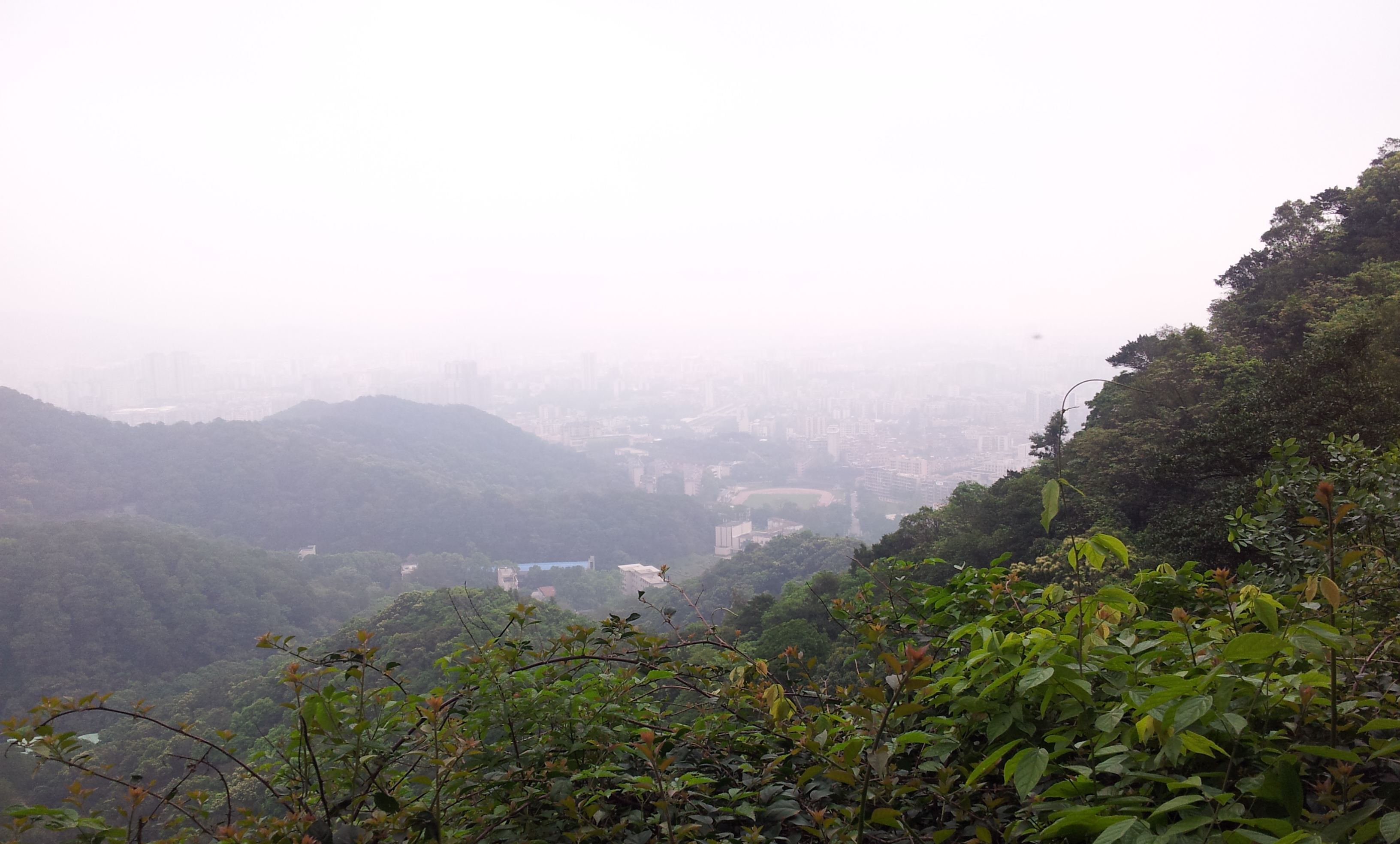 广州山顶公园图片