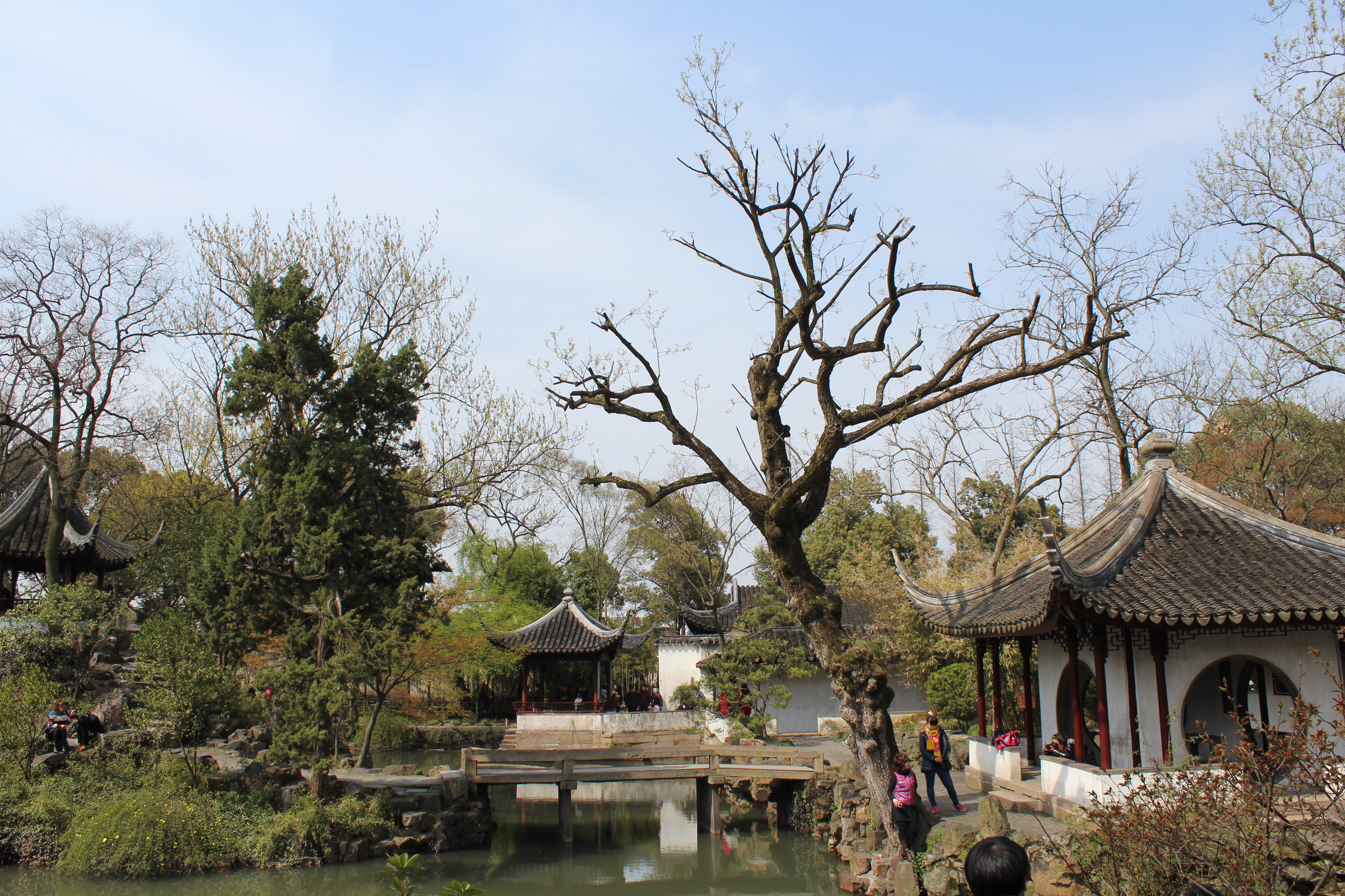 問答 結伴 週末遊 口碑榜 特賣匯 拙政園,中國四大名園之一,來了蘇州