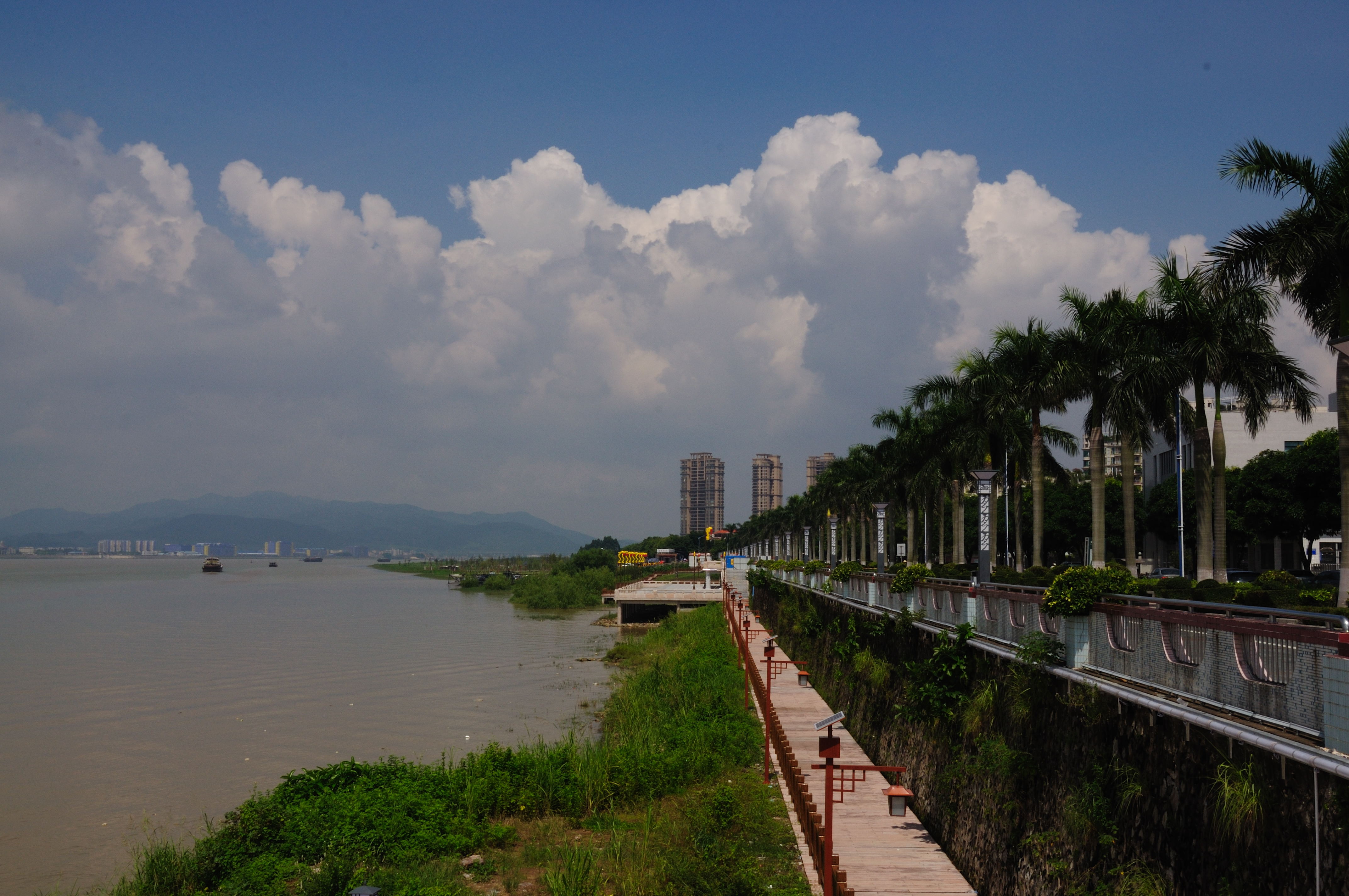 周日闲游佛山九江海寿岛