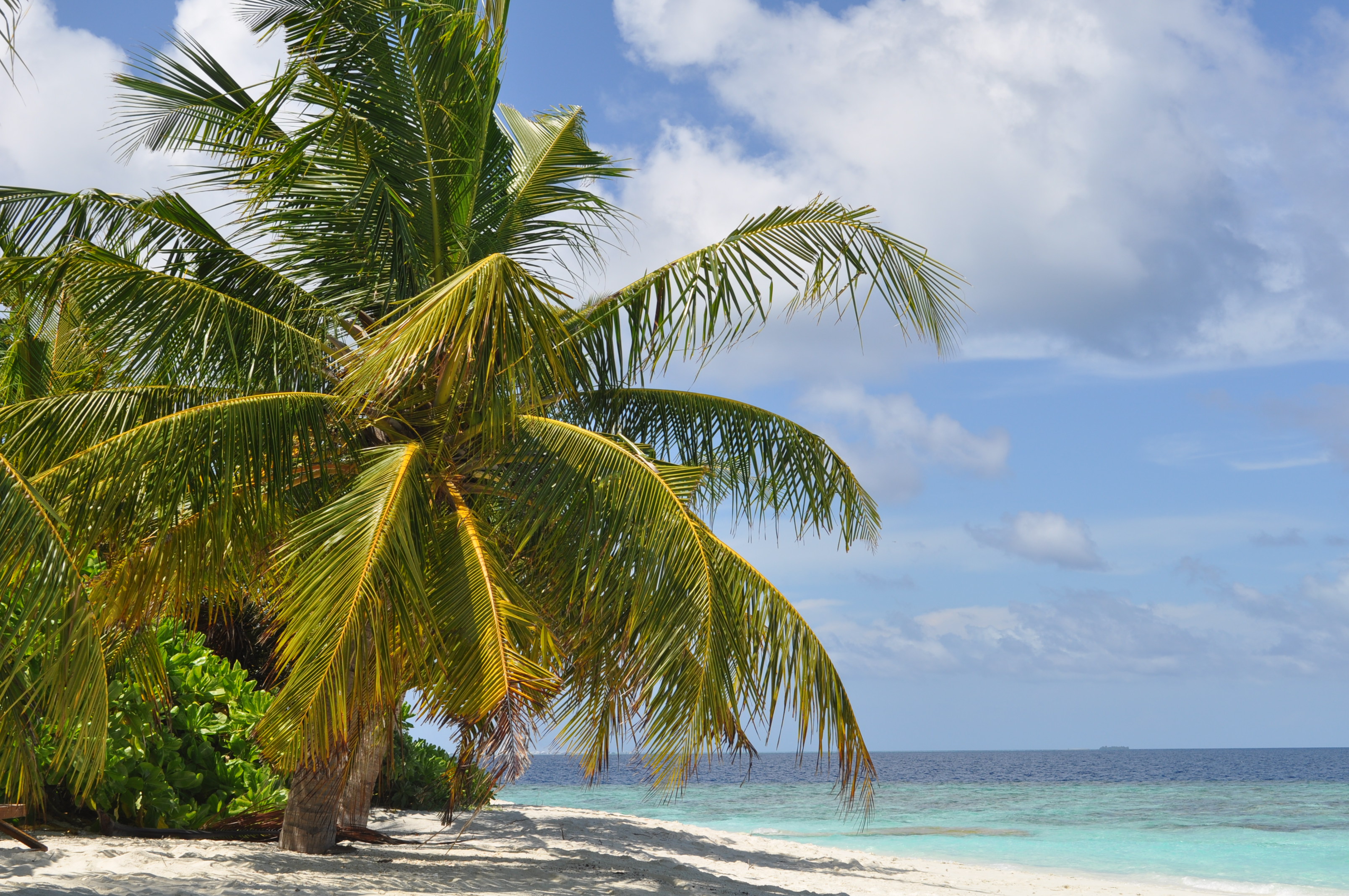 2023昆明官渡先策学校复读班分数线预测