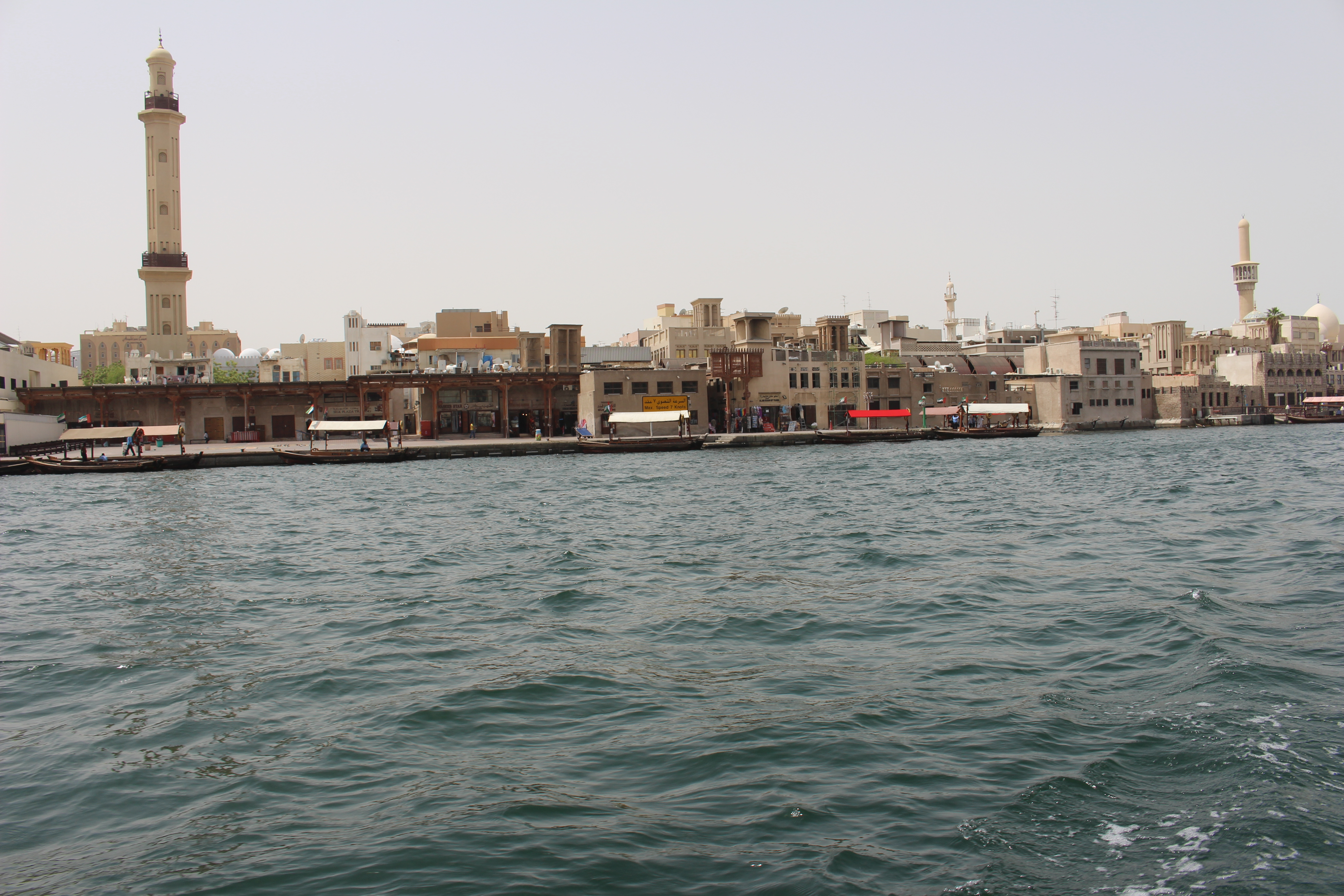 波斯湾沙漠之花