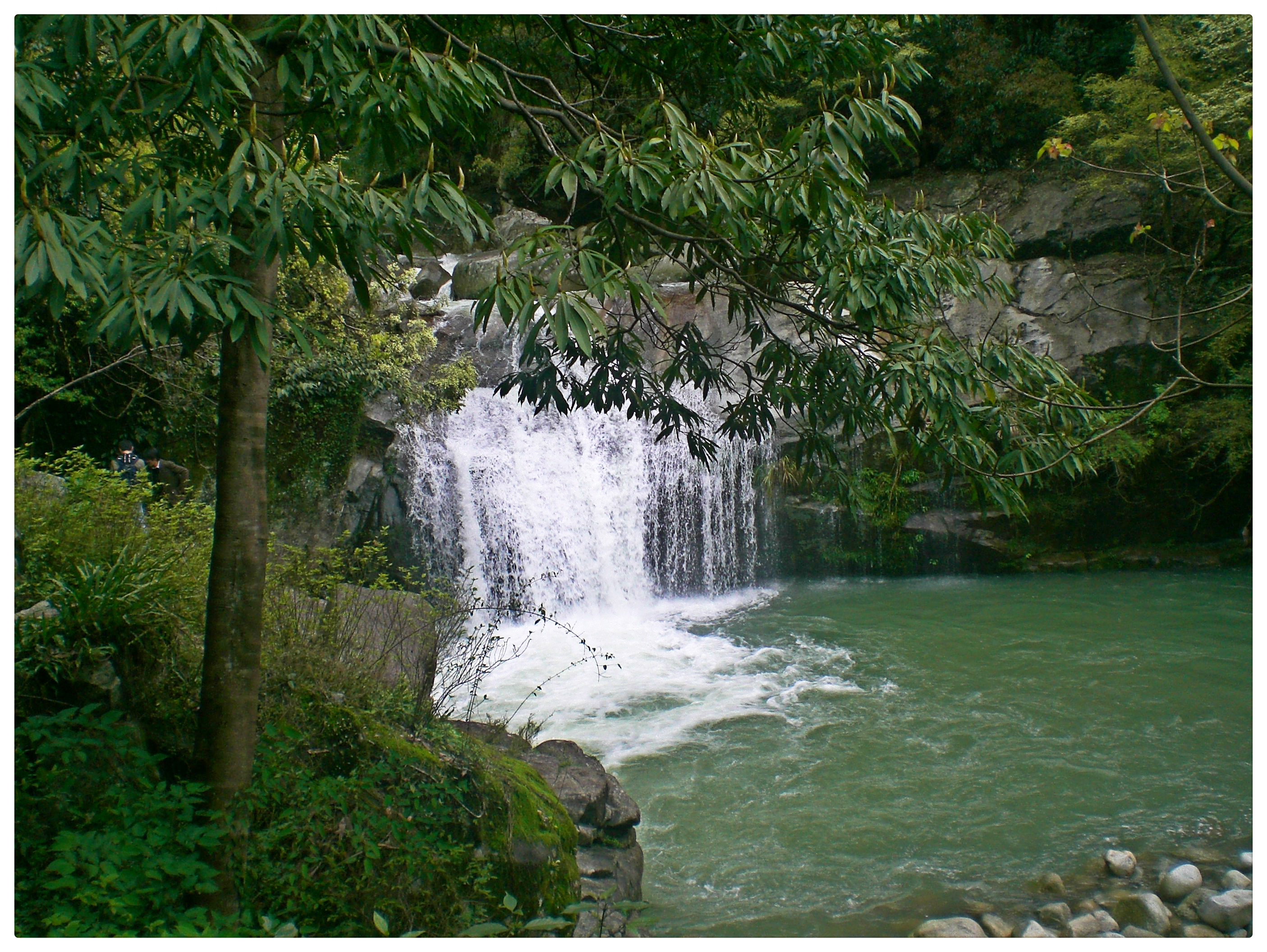 大鄣山臥龍谷