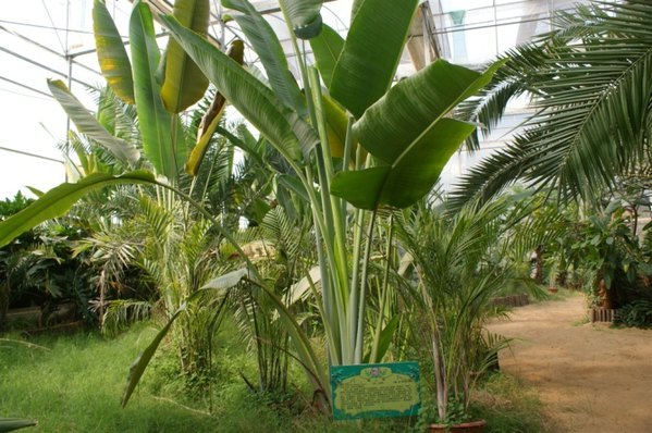 乡土武汉之农耕年华