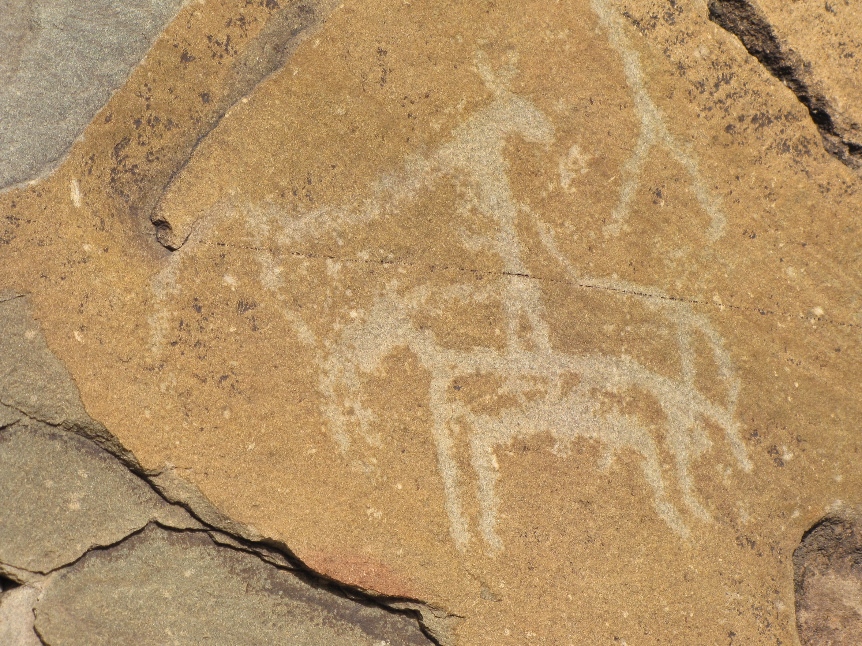 我所搜集的贺兰山岩画