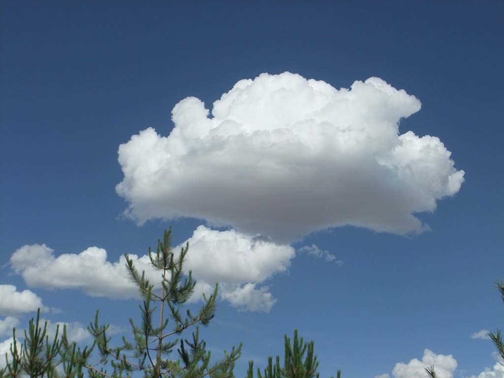 拉萨的天空,蓝得象透明一样,飘着朵朵洁白的云朵 ,空气象洗过那么清新
