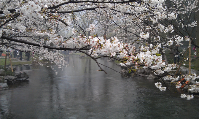 杭州西湖十景是哪十景？杭州西湖十景介紹[圖片]杭州西湖一日游經(jīng)典路線(圖5)