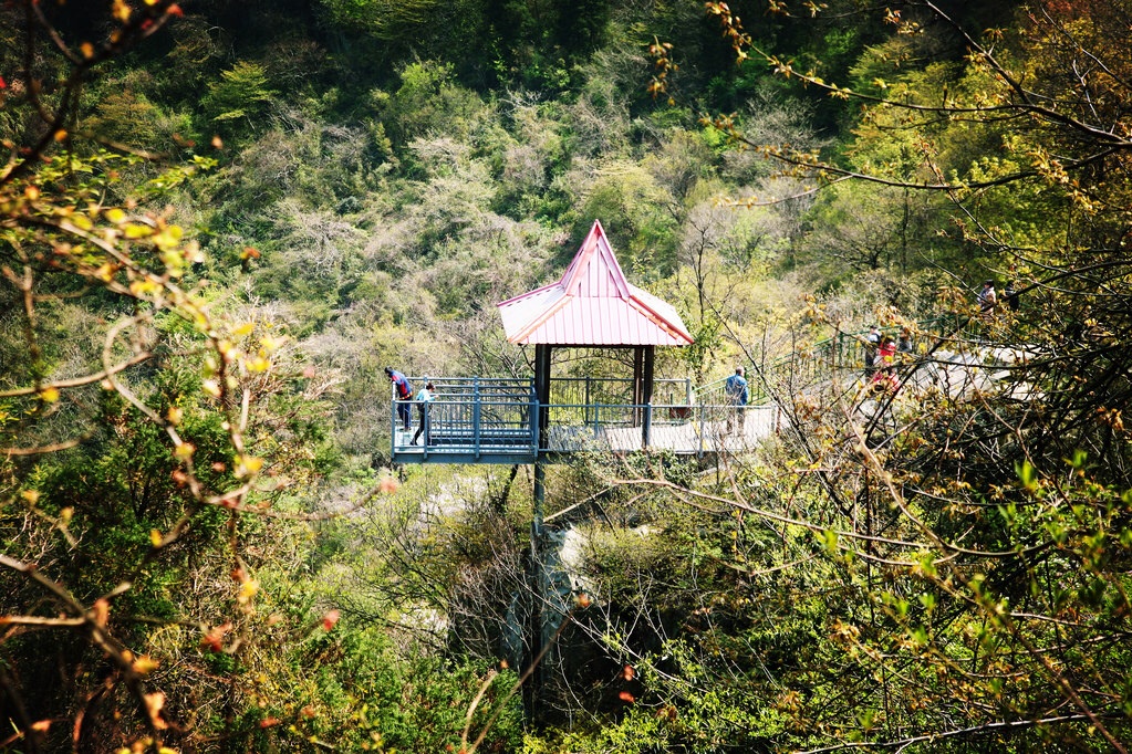 莫干山大坑景区图片