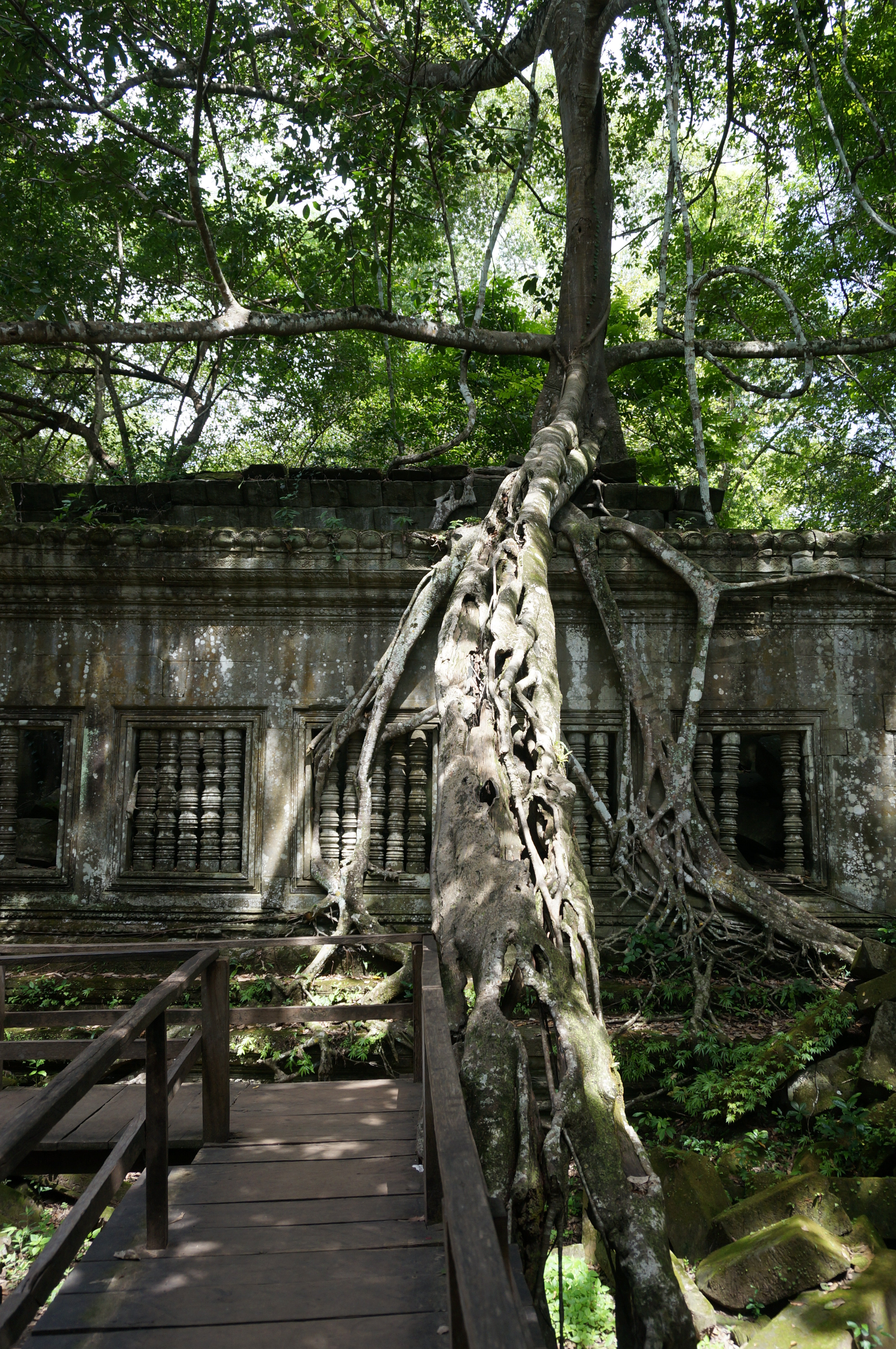吴哥窟六日行——脱离现代生活的文化之旅