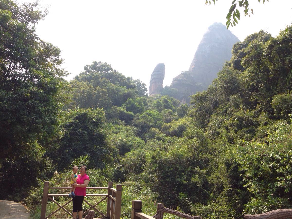 2019陽元山_旅遊攻略_門票_地址_遊記點評,韶關旅遊景點推薦 - 去哪兒