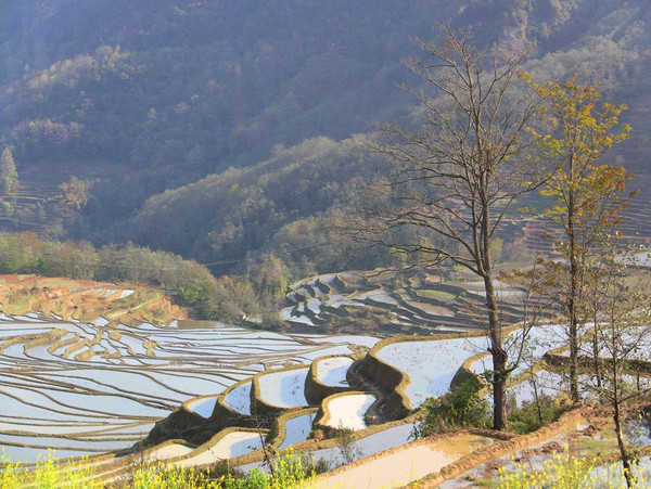 东川区有多少人口_昆明市东川区图片