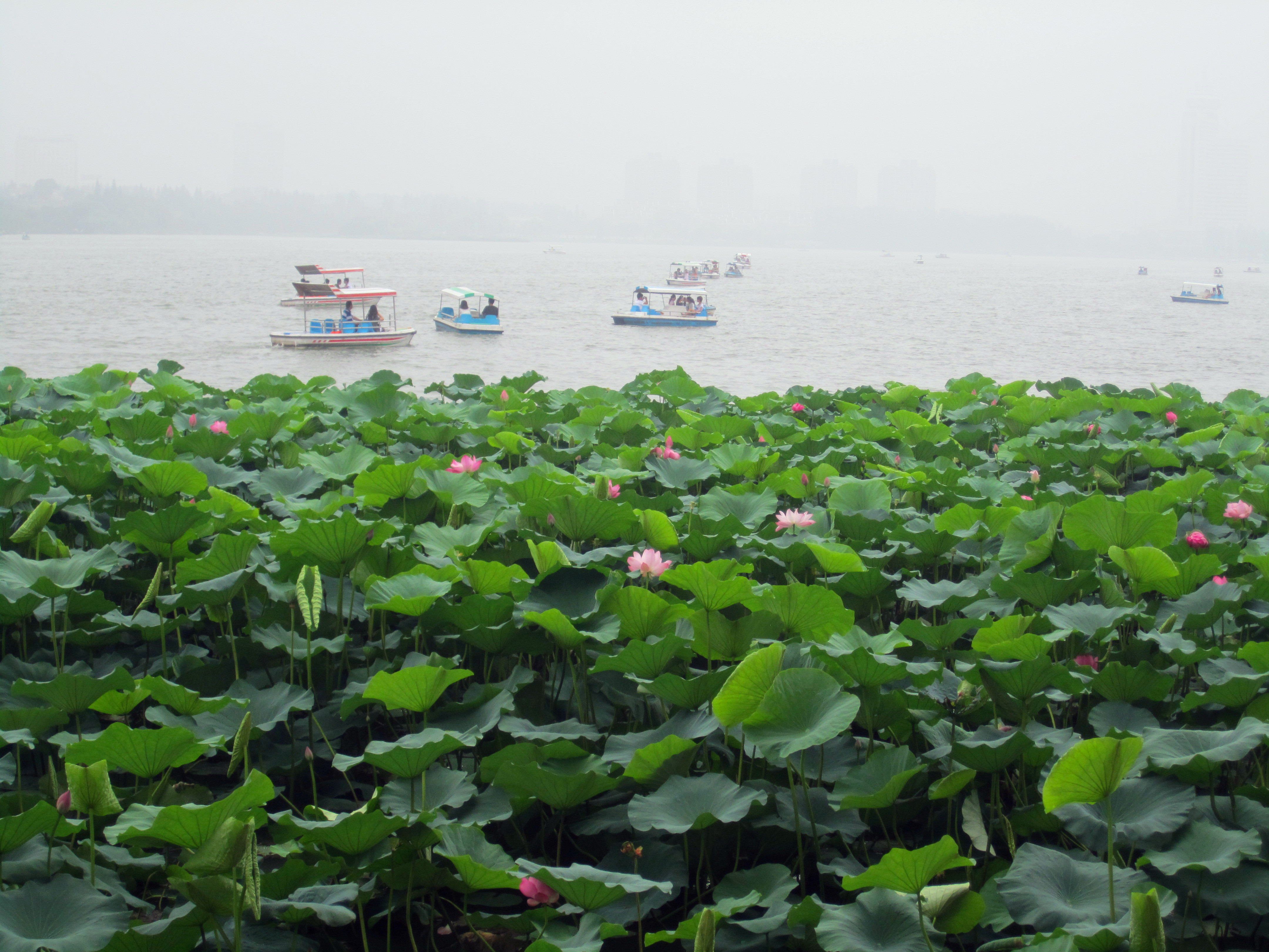 【携程攻略】南京玄武湖适合朋友出游旅游吗,玄武湖朋友出游景点推荐