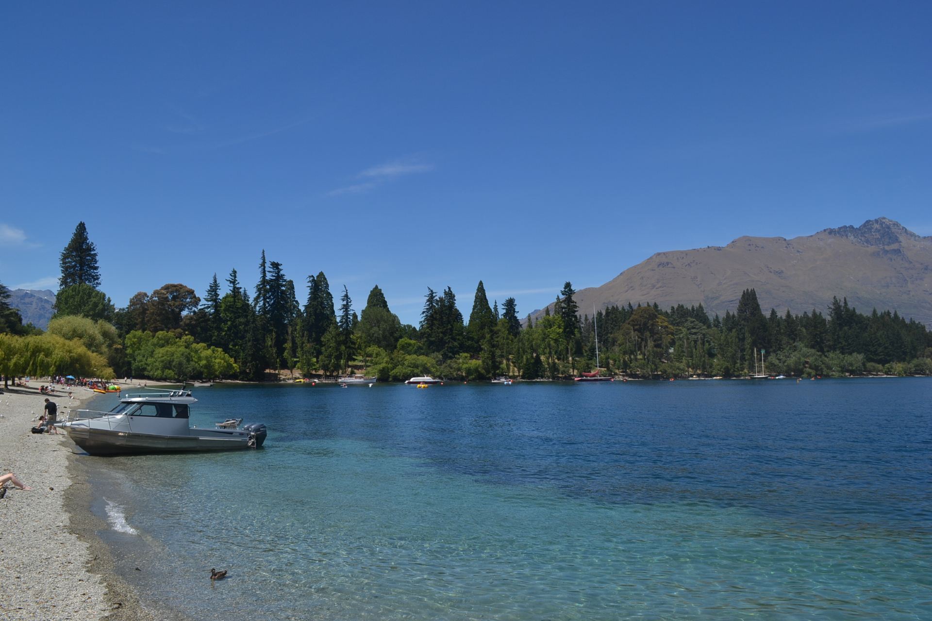 瓦卡蒂普湖lake wakatipu