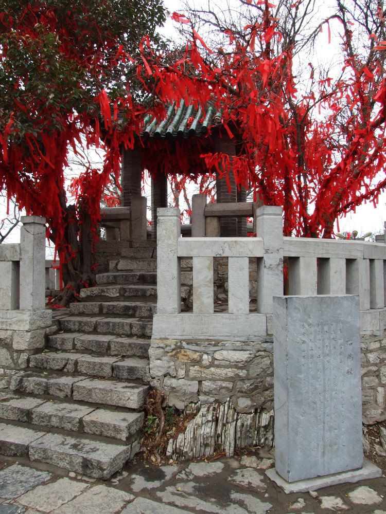 徐州彭祖園攻略,徐州彭祖園門票/遊玩攻略/地址/圖片/門票價格【攜程