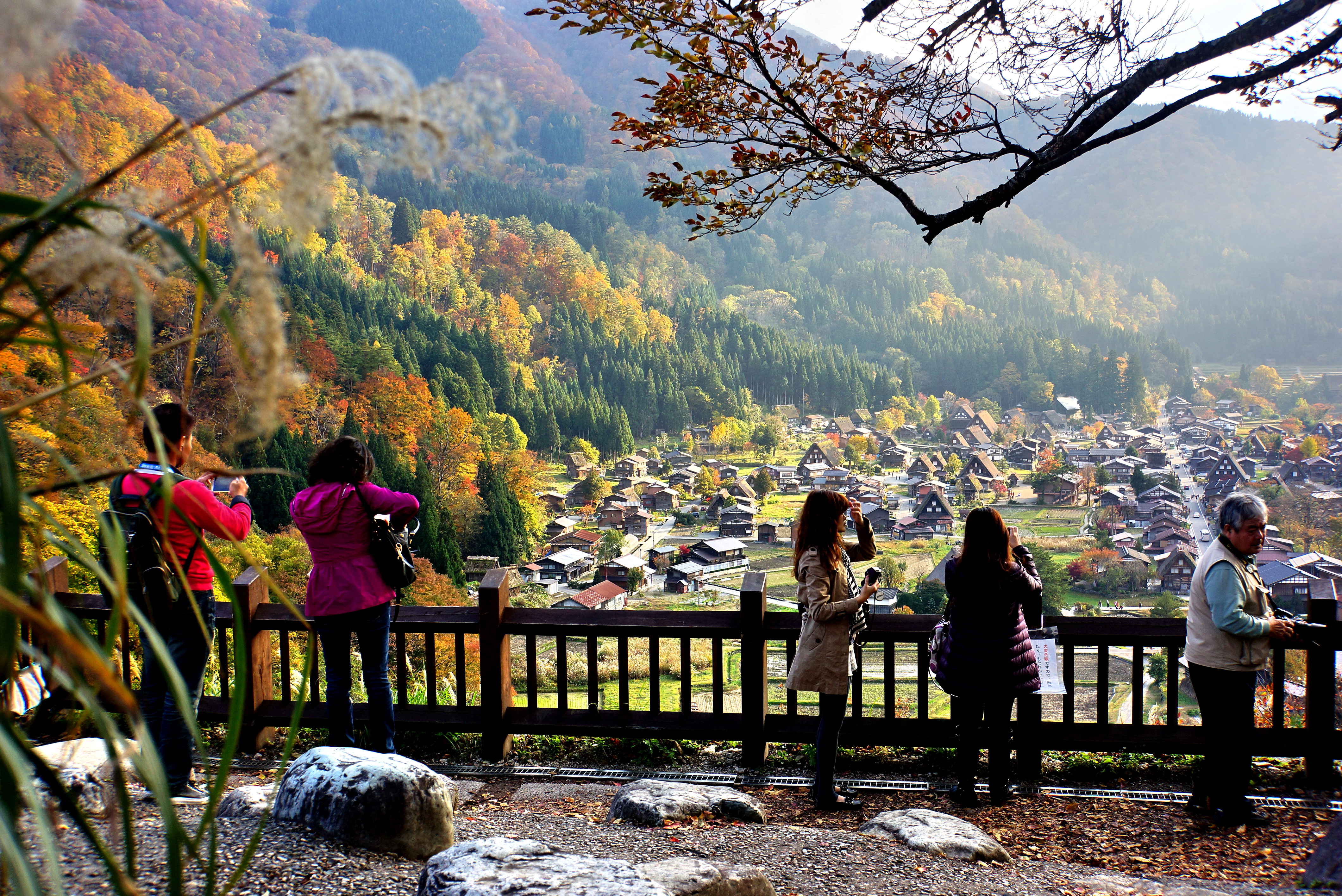 白川鄉合掌村旅遊景點攻略圖