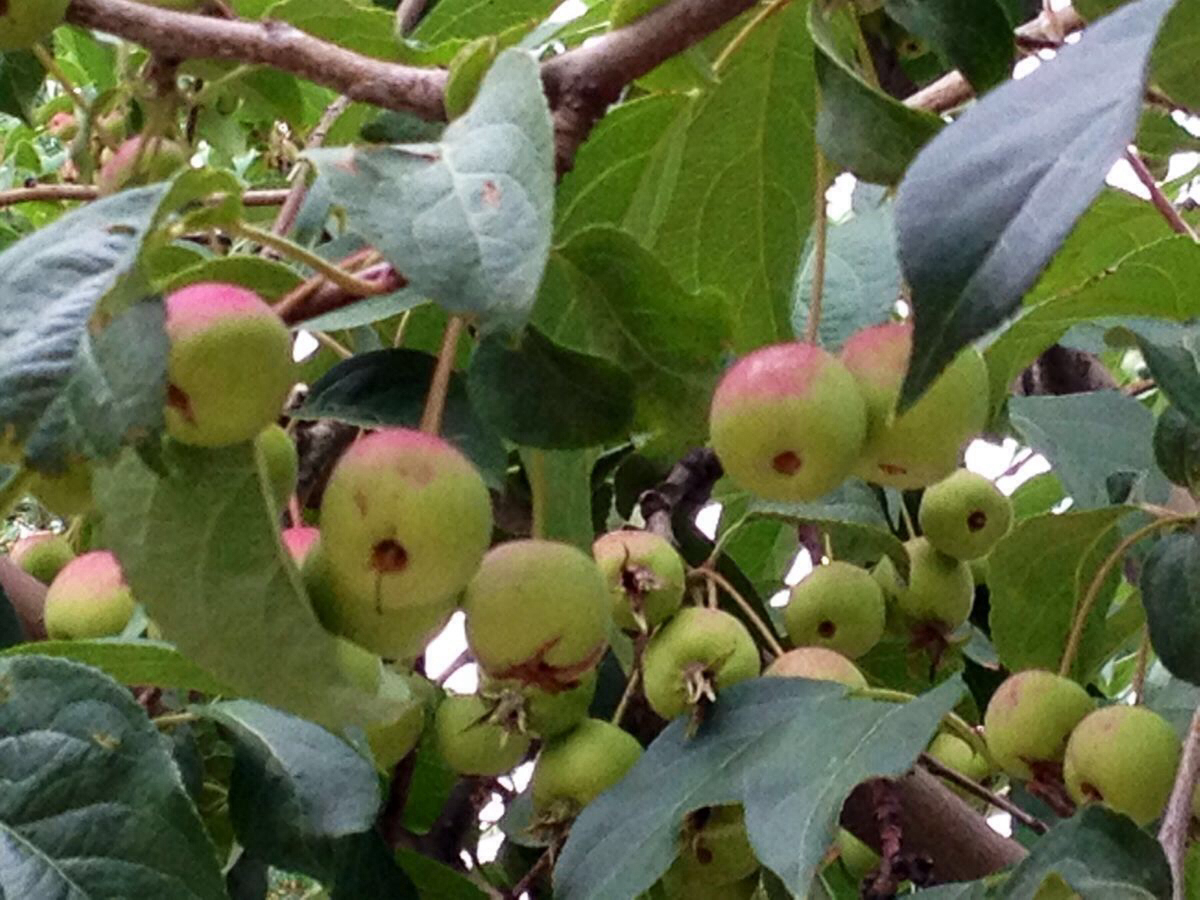 在西藏遇见未知的自己