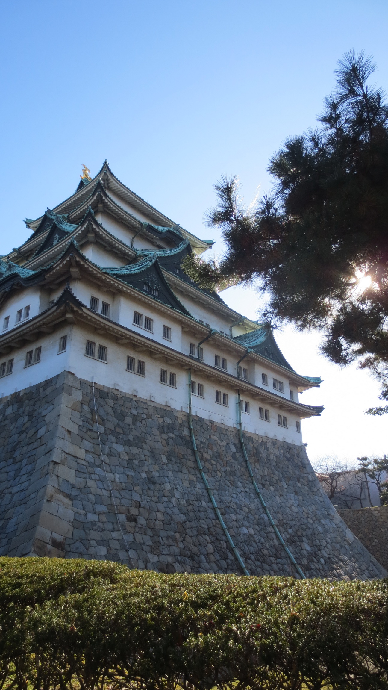 名古屋旅游攻略自由行(日本名古屋旅游攻略自由行)