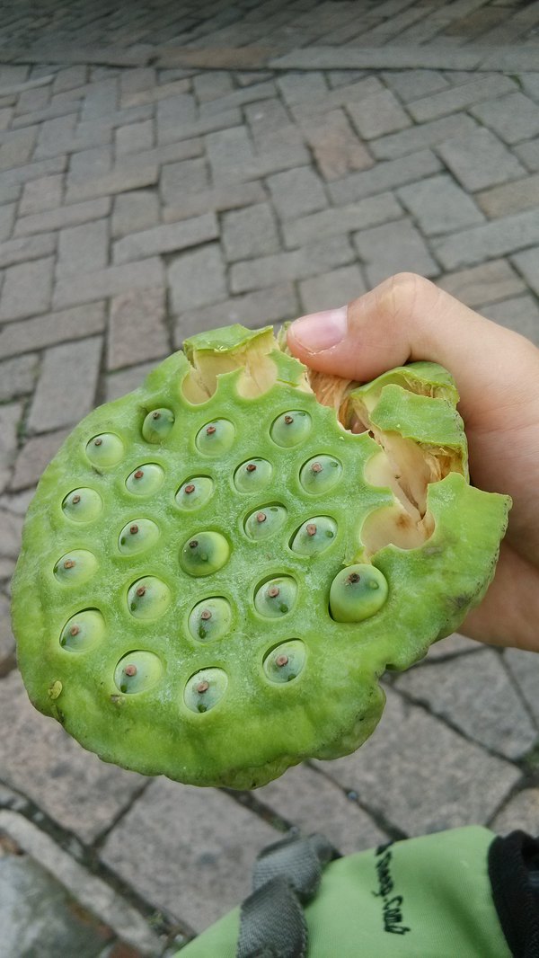 新鲜的莲子,味道脆脆的!