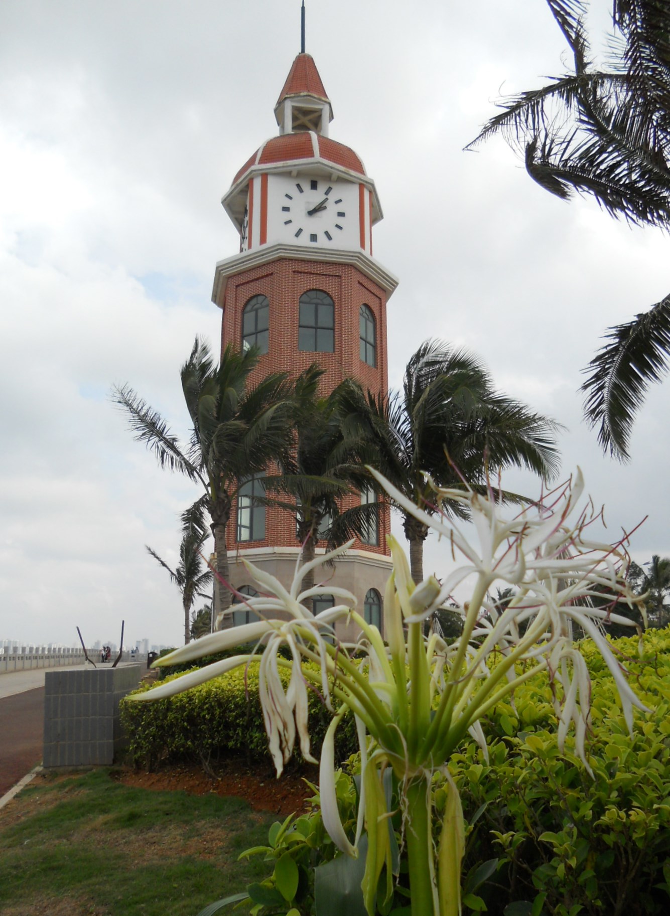 2019西秀海滩_旅游攻略_门票_地址_游记点评,海口旅游景点推荐 - 去