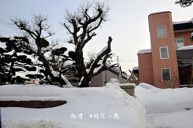 【日本·北海道】水晶宫般的支笏湖冰涛祭