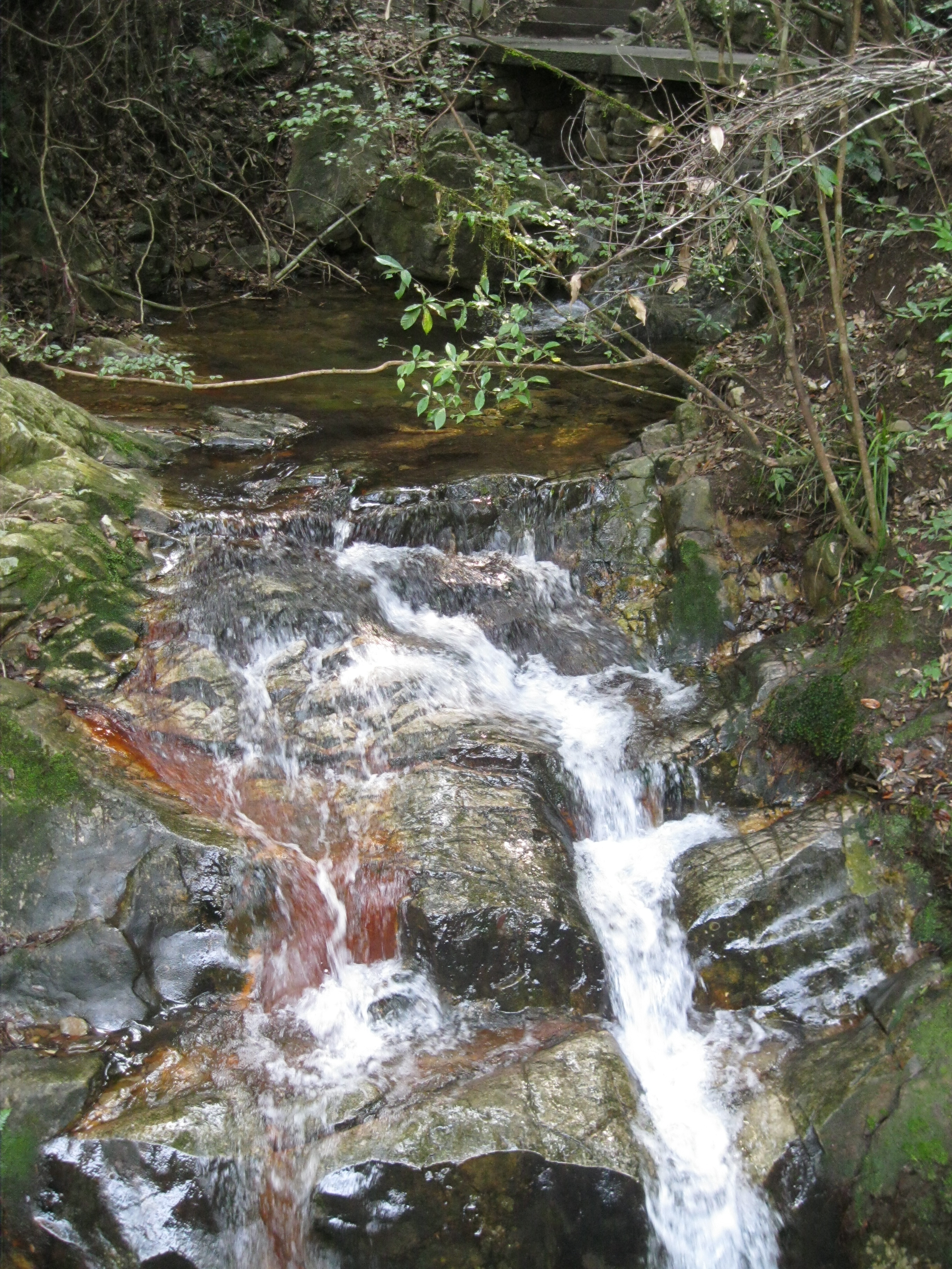 千岛湖森林氧吧