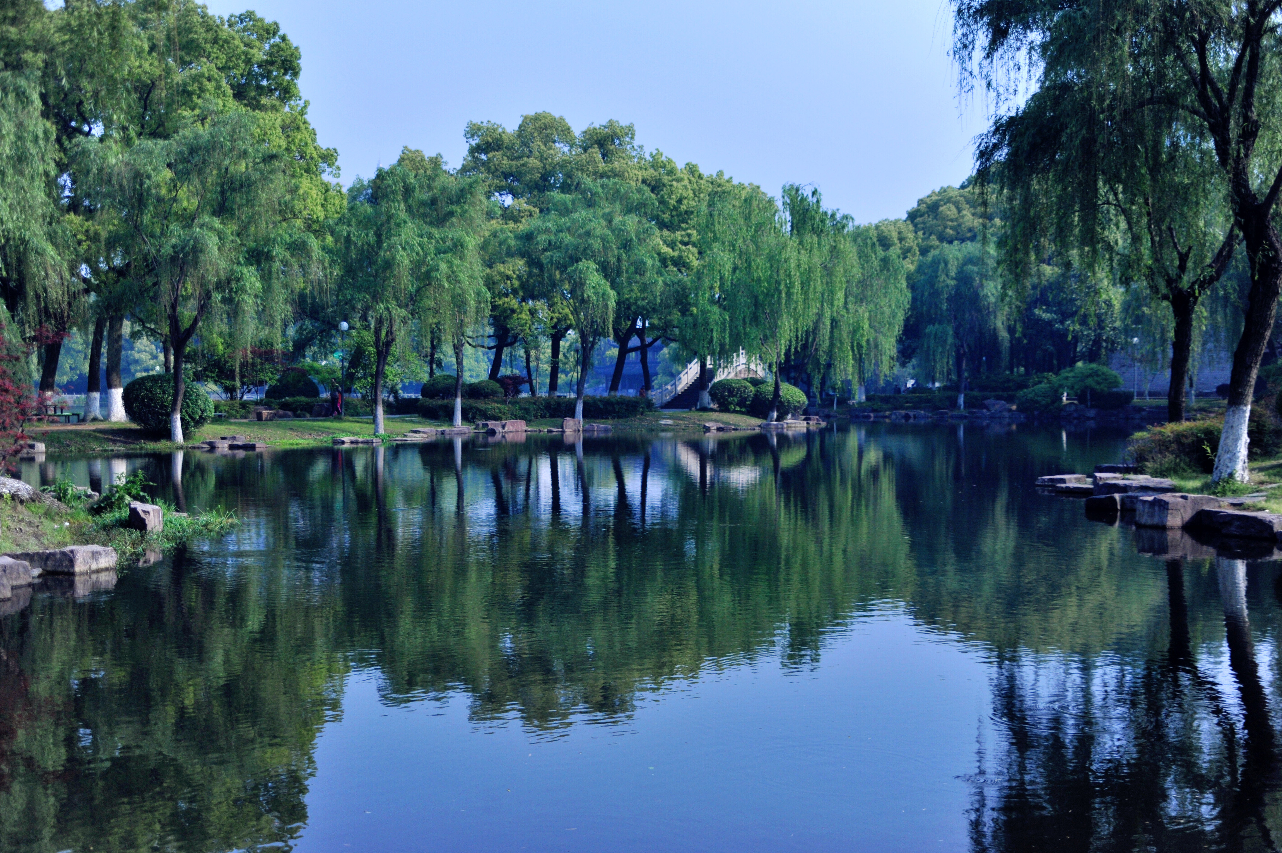 台州湾月湖公园图片