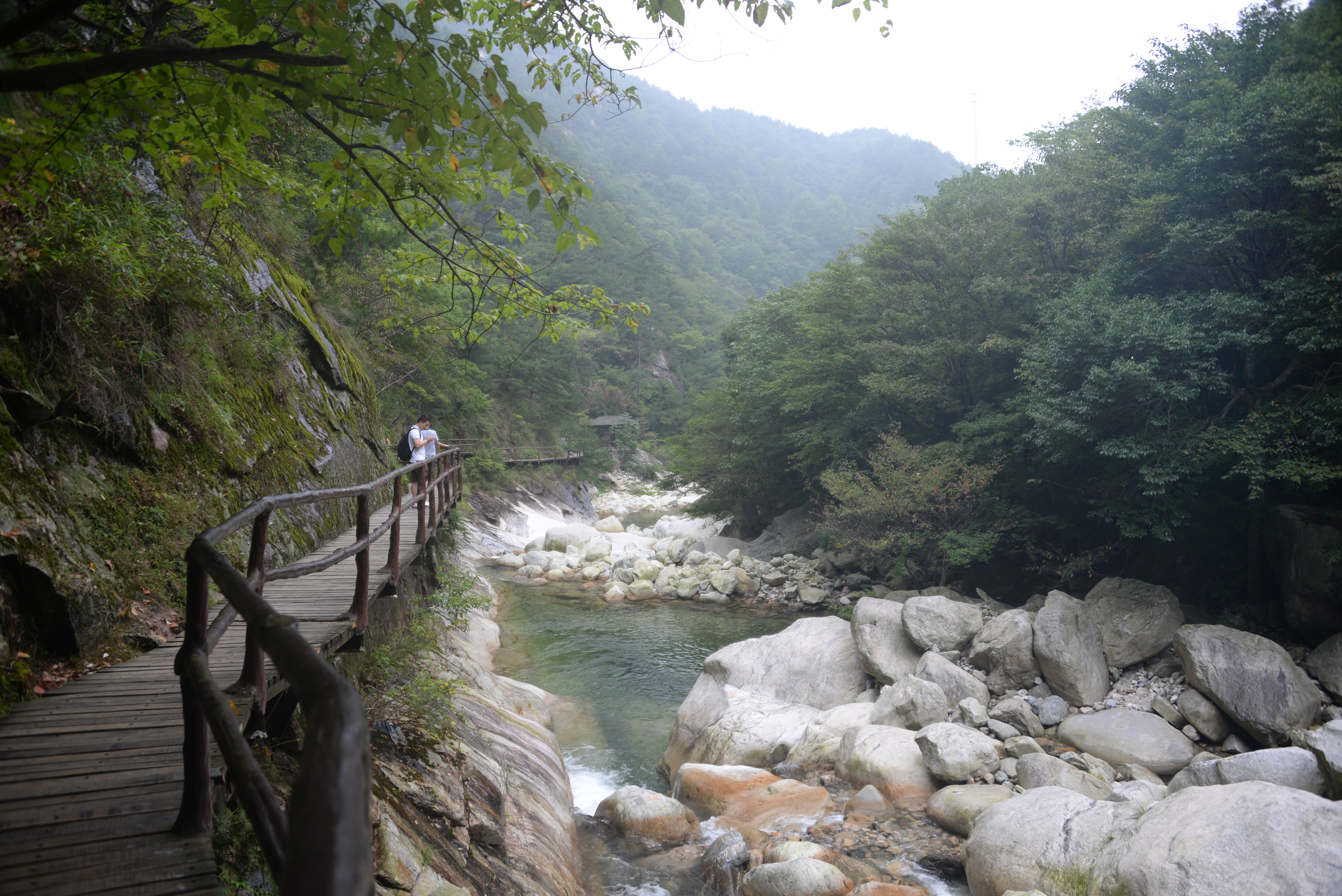 大別山風光無限好