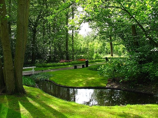 伦敦荷兰公园图片