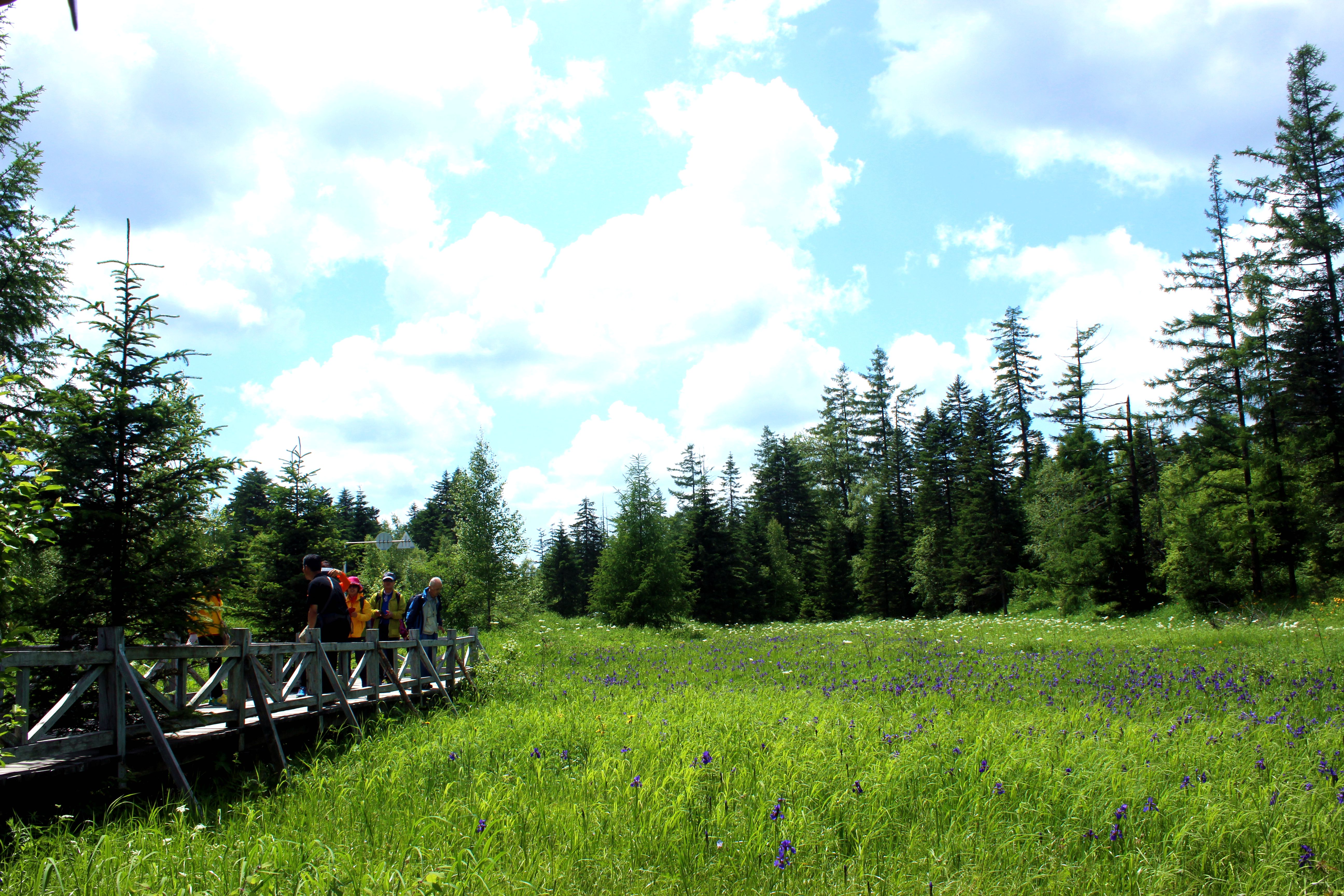 长白山西坡景区
