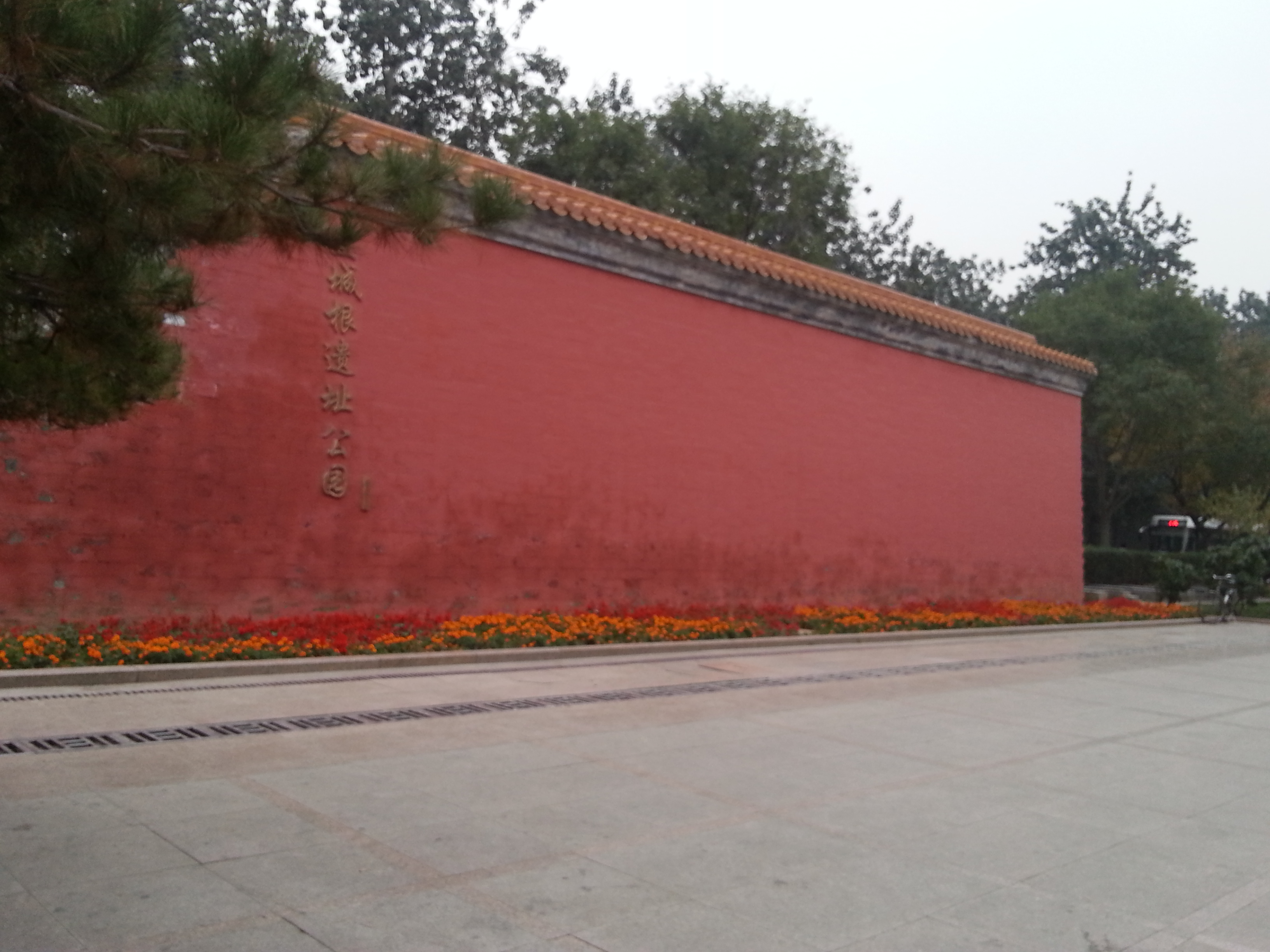 北京老城根图片