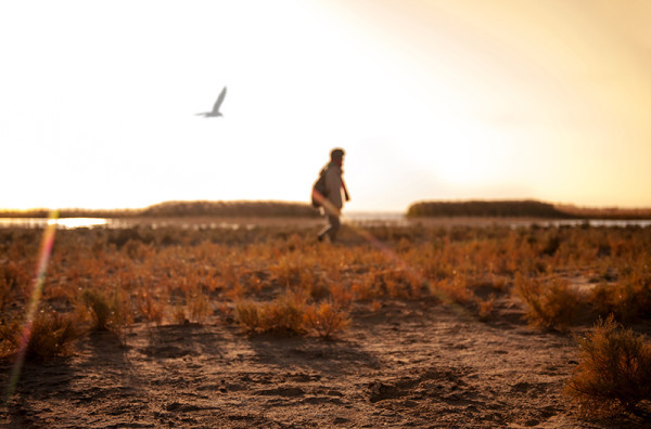 52c2dcf23d0a486fa6dbf95014f36a2d_R_1024_10000_Q90.jpg