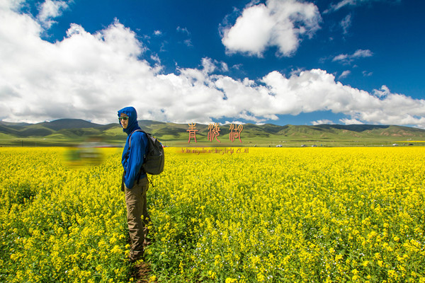 走吧、让我们回西北吧(记2014年7月梦回西北