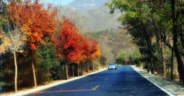 2013年10月30日 妙峰山拍摄红叶小记