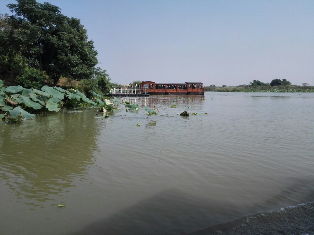 德清下渚湖溼地公園