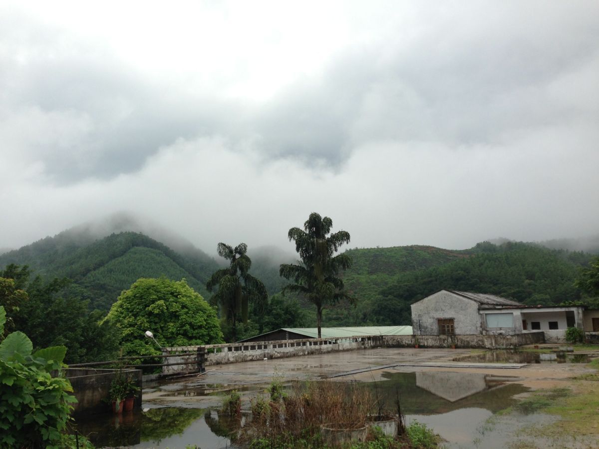 江门凤凰峡漂流攻略,江门凤凰峡漂流门票/游玩攻略/地址/图片/门票