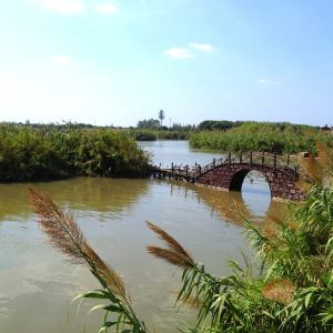 沙家浜風景區旅遊景點攻略圖